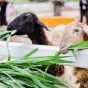 搜索 - 竞技宝APP下载